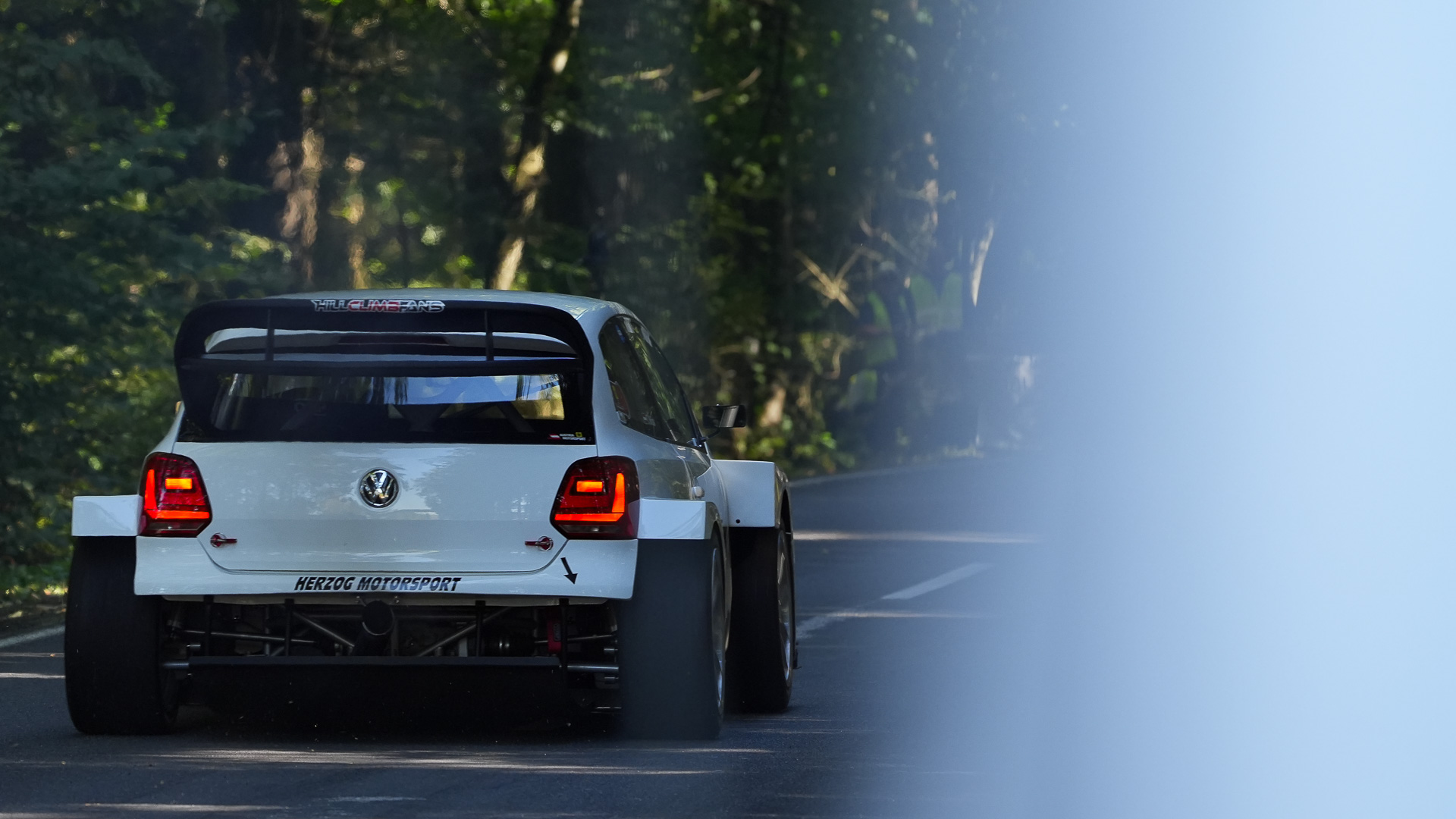 Weißes VW Golf Rallyefahrzeug fährt von hinten gesehen die Waldstrecke entlang