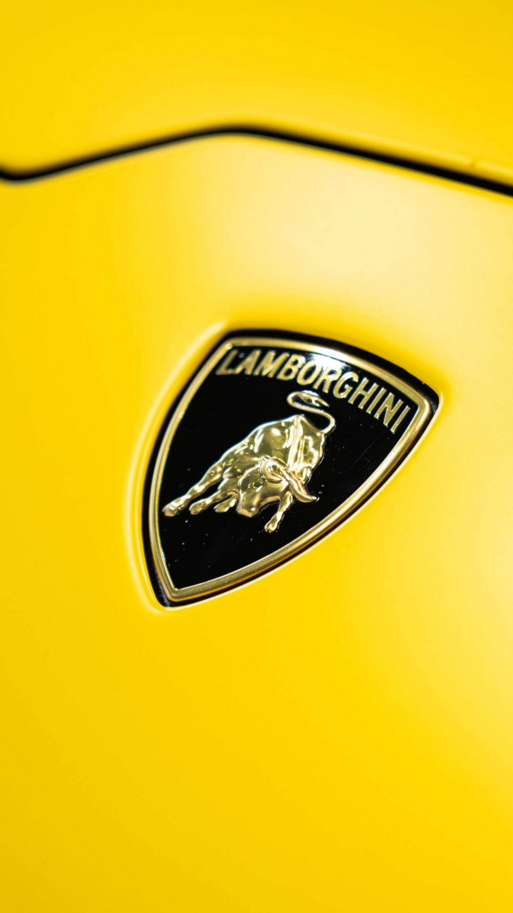 Wagenwerk Sportwagen Autohaus Kematen 17